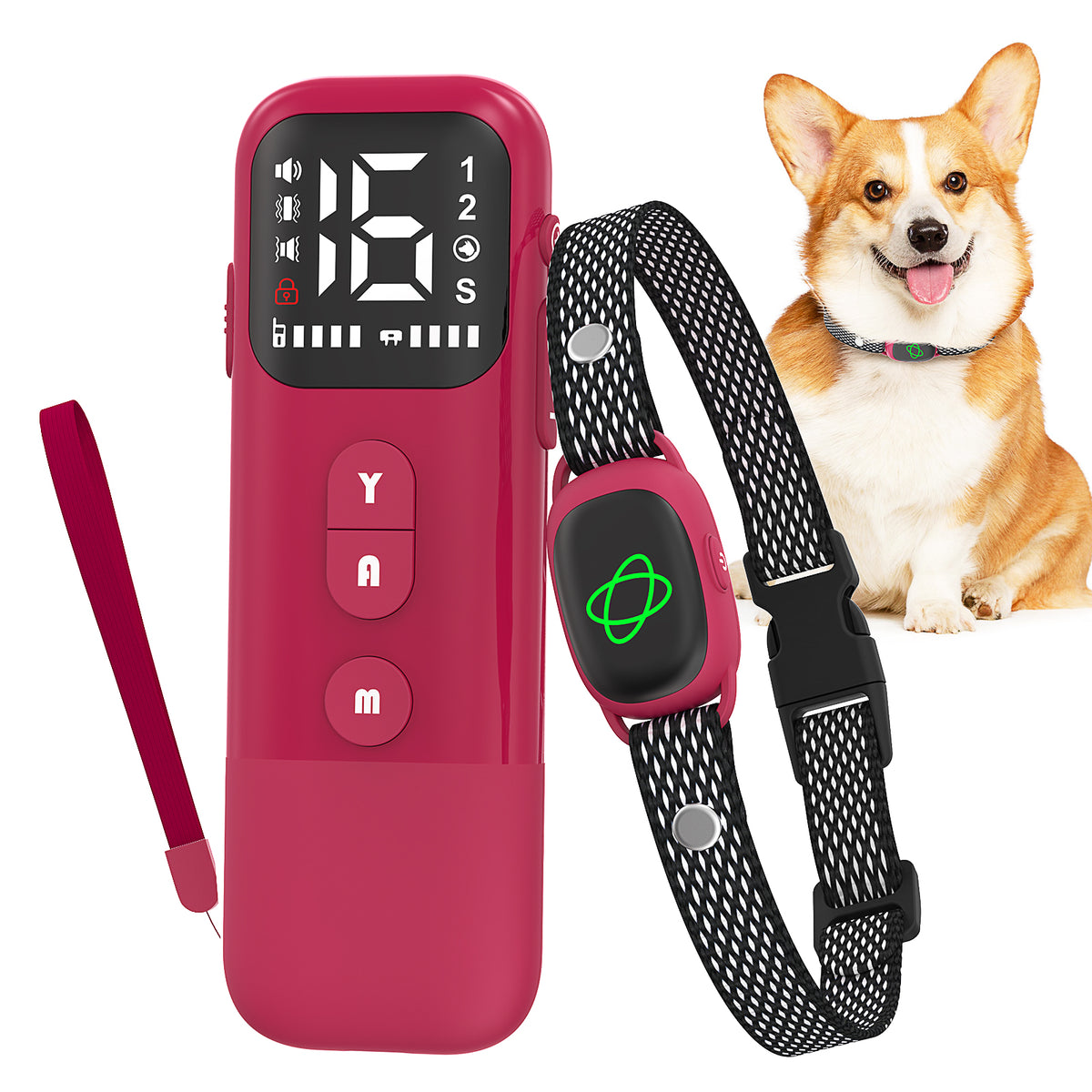 Jewyow 2-in-1 Dog Bark Collar with Remote & Auto Mode – 2600FT Electric Training Collar, IP67 Waterproof for Small Medium Large Dogs
