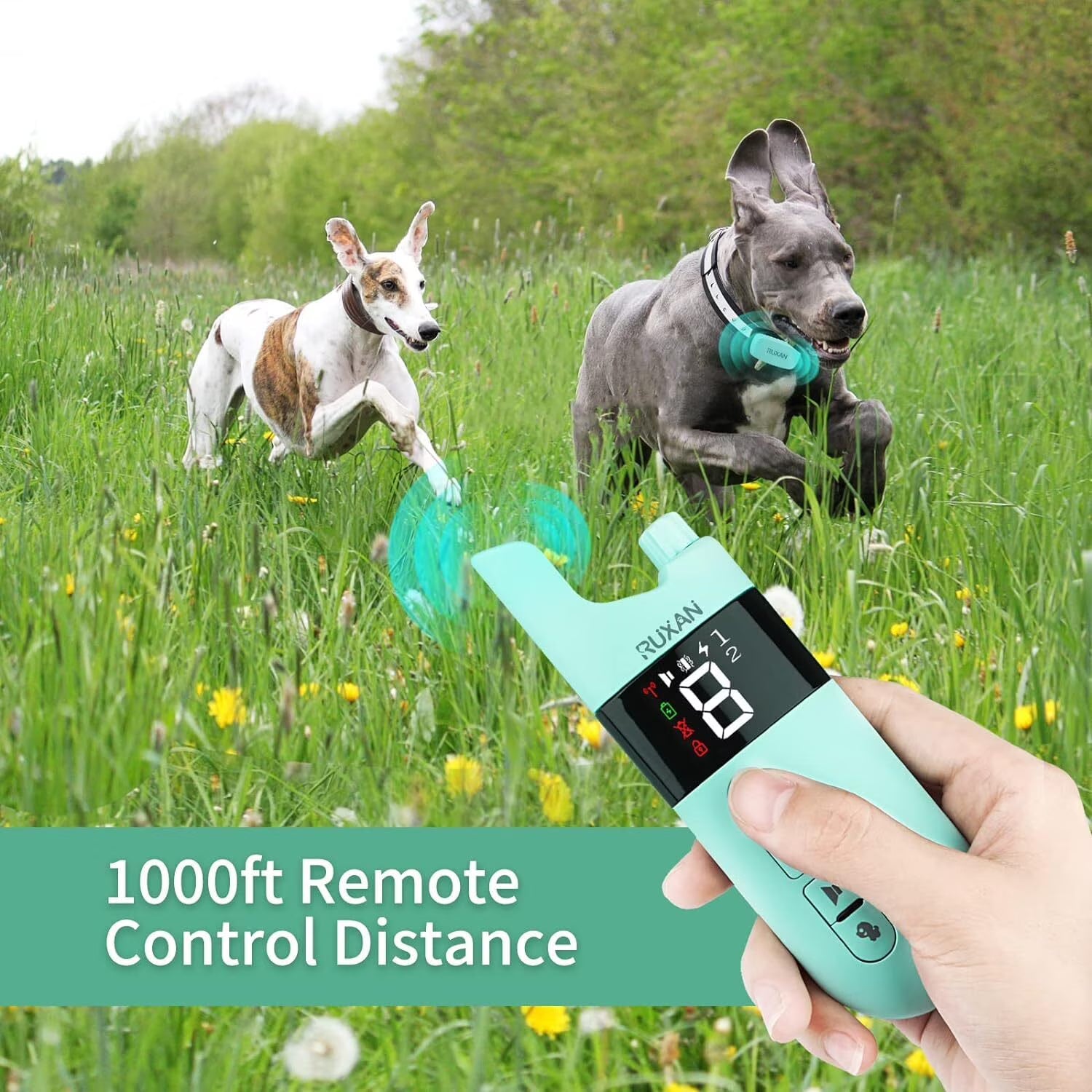 RUXAN Dog Training Collar with Remote Control -Dog Shock Collar for 15-120lbs Small Large Dogs, Waterproof, Dogs Stop Barking