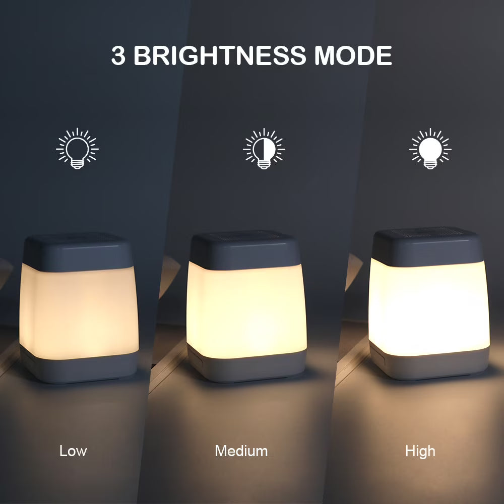 RUXAN Portable Bluetooth Speaker Multi-Color Changing Touch Control LED Light All in One Wireless Bluetooth Speakers for Party Outdoor Camping