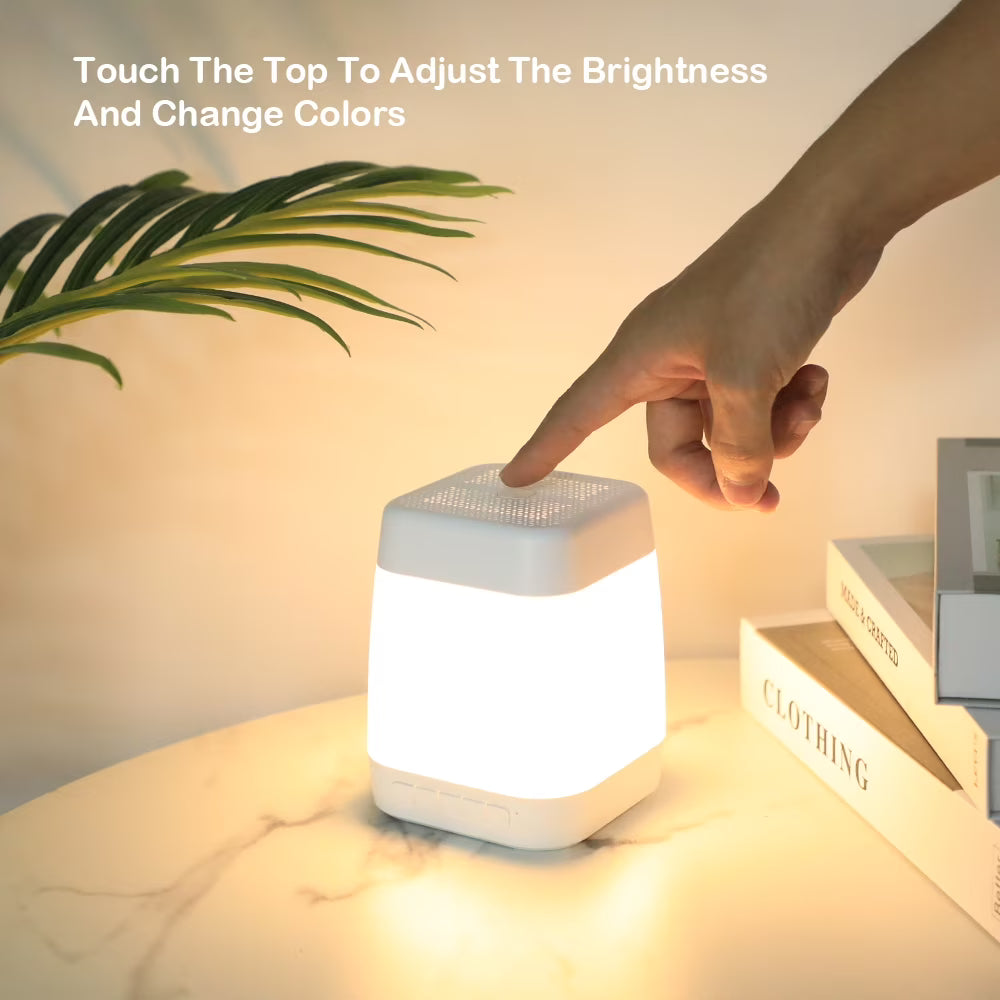 RUXAN Portable Bluetooth Speaker Multi-Color Changing Touch Control LED Light All in One Wireless Bluetooth Speakers for Party Outdoor Camping