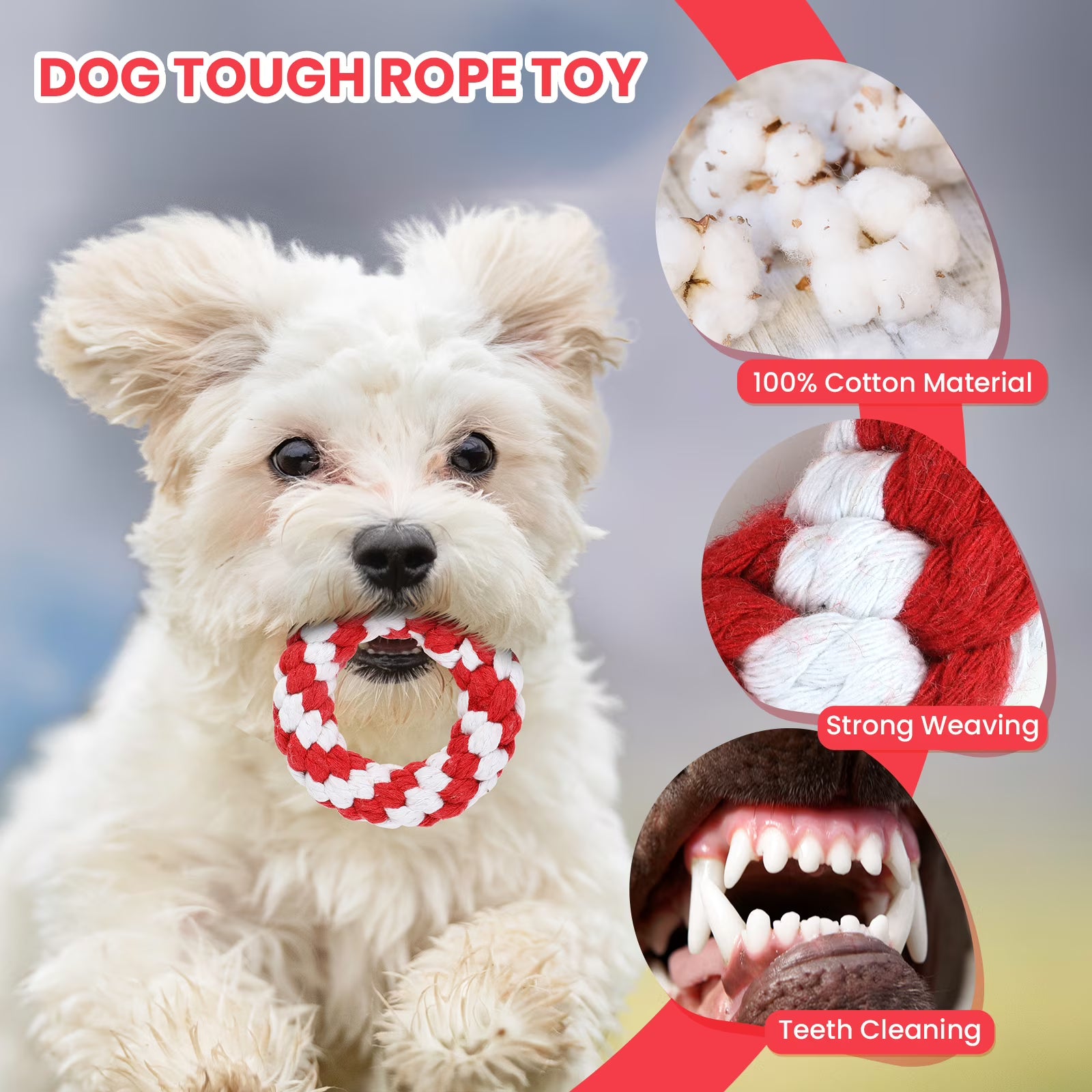 RUXAN 7 Pcs Dog Rope Toys for Aggressive Chewers, Puppy Chew Dog Toys, Teething, Squeaky Toys for Small Dogs