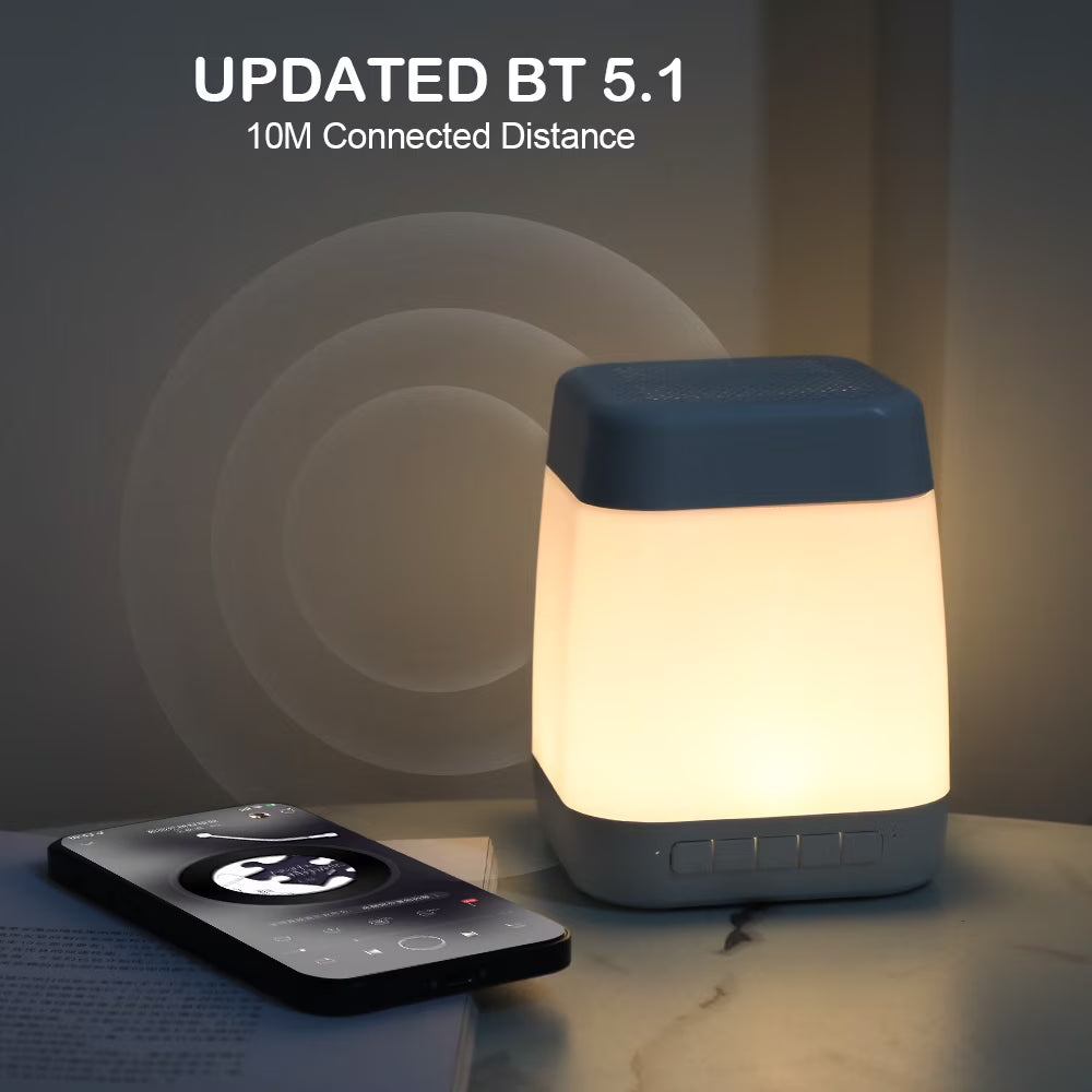 RUXAN Portable Bluetooth Speaker Multi-Color Changing Touch Control LED Light All in One Wireless Bluetooth Speakers for Party Outdoor Camping