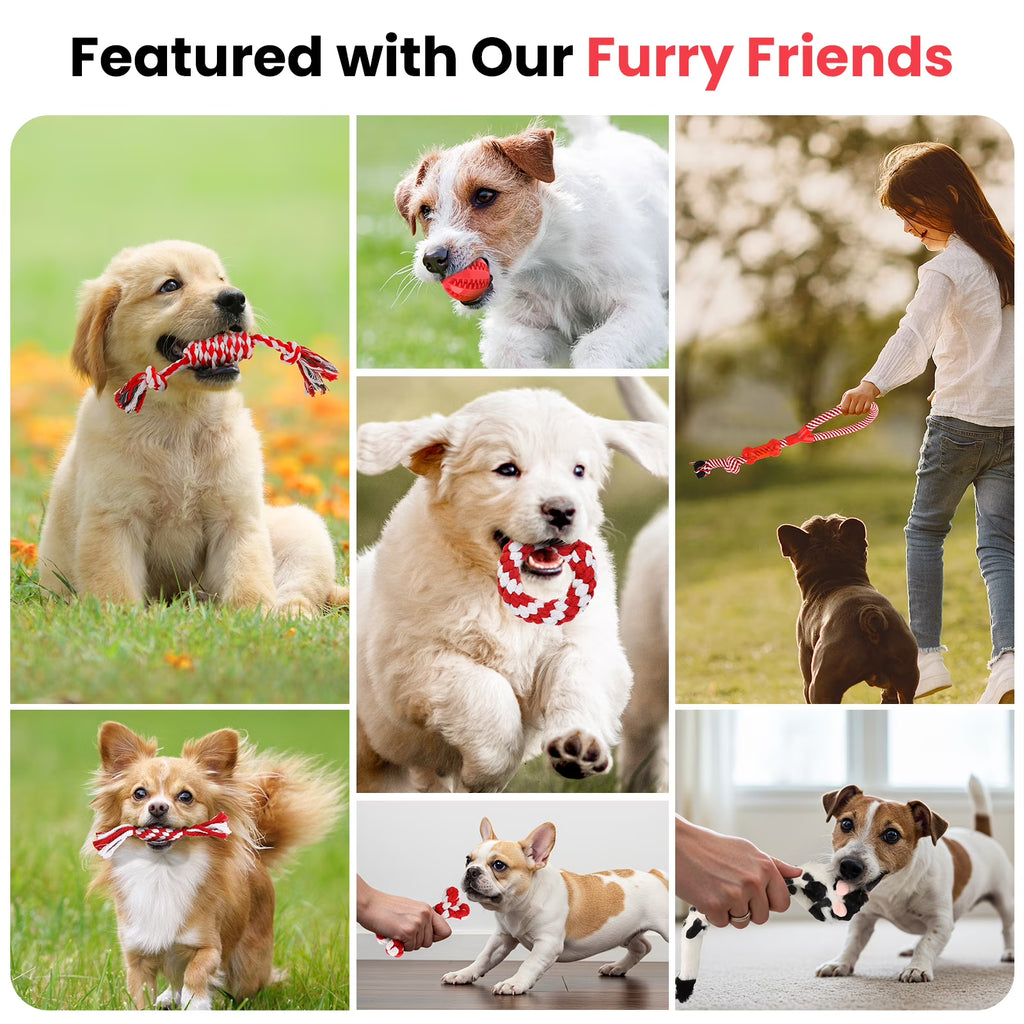 RUXAN 7 Pcs Dog Rope Toys for Aggressive Chewers, Puppy Chew Dog Toys, Teething, Squeaky Toys for Small Dogs