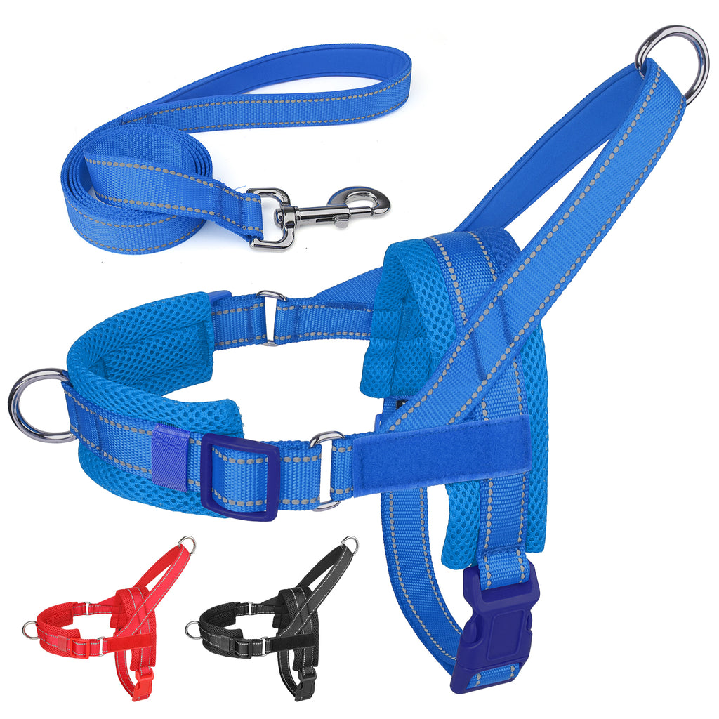 No Pull Dog Harness and Leash Set for Medium Large Dogs, Reflective Dog Vest Harness with Breathable Mesh Padded, Adjustable Neck & Chest
