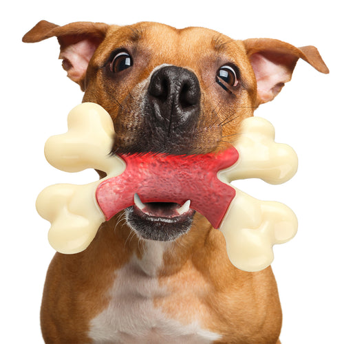 Dog Toy for Aggressive Chewer- for Large Medium Dogs, Food Bone Toy for Dogs, Teething ,Beef Flavored Dog Chew Toys