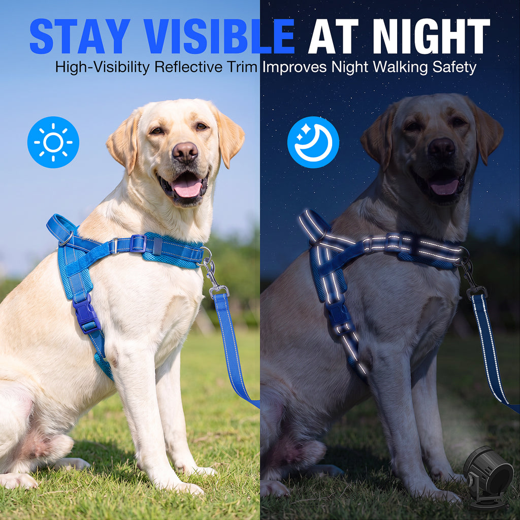 No Pull Dog Harness and Leash Set for Medium Large Dogs, Reflective Dog Vest Harness with Breathable Mesh Padded, Adjustable Neck & Chest