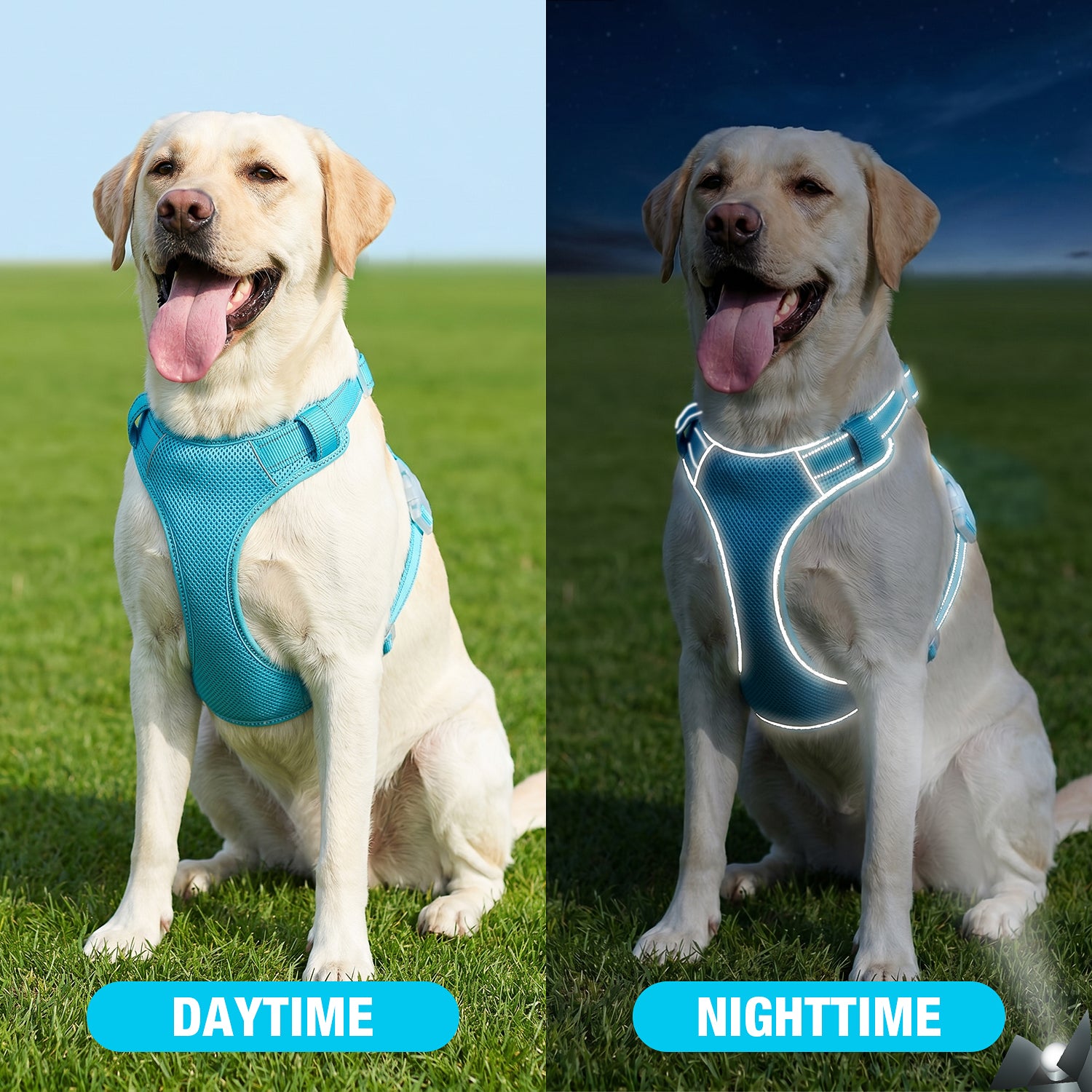 Jewyow No Pull Dog Harness - Dog Harness for Large Dogs,Reflective Adjustable Pet Vest with Handle & Breathable Mesh,Blue,L