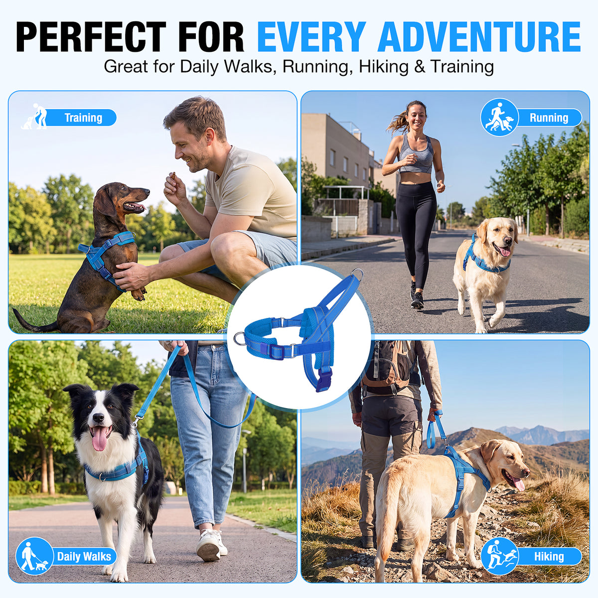 No Pull Dog Harness and Leash Set for Medium Large Dogs, Reflective Dog Vest Harness with Breathable Mesh Padded, Adjustable Neck & Chest