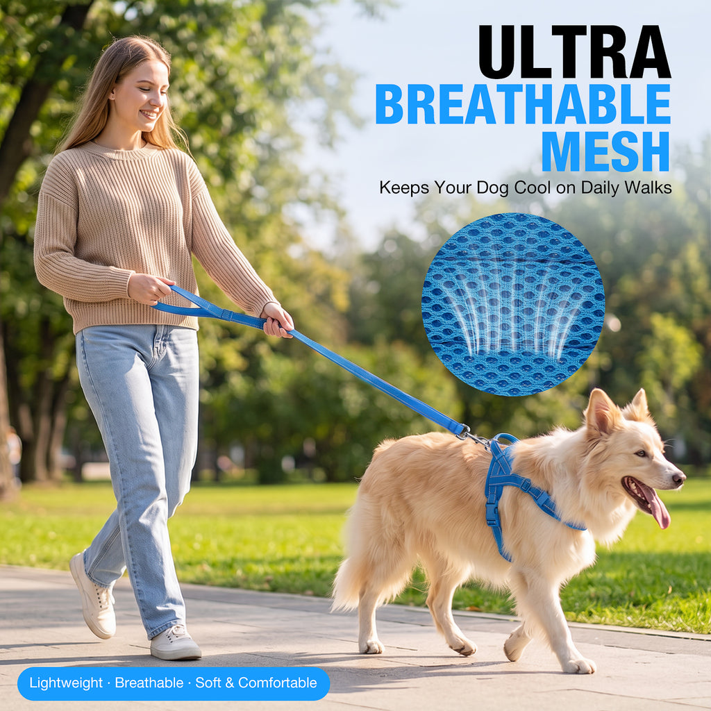 No Pull Dog Harness and Leash Set for Medium Large Dogs, Reflective Dog Vest Harness with Breathable Mesh Padded, Adjustable Neck & Chest