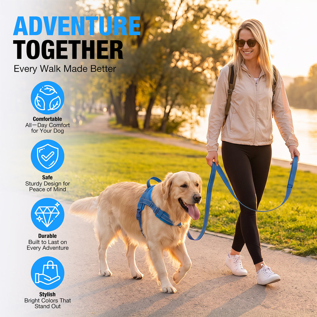 No Pull Dog Harness and Leash Set for Medium Large Dogs, Reflective Dog Vest Harness with Breathable Mesh Padded, Adjustable Neck & Chest