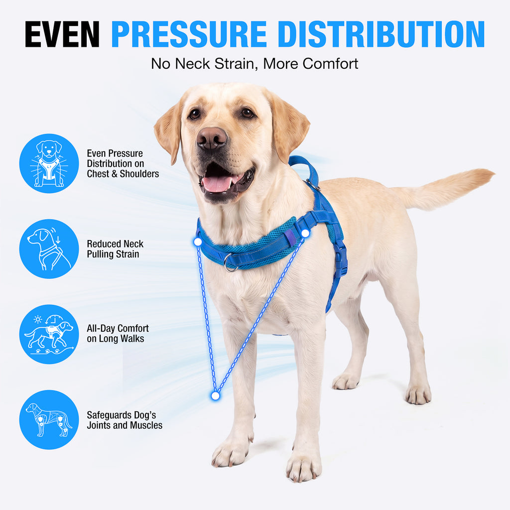 No Pull Dog Harness and Leash Set for Medium Large Dogs, Reflective Dog Vest Harness with Breathable Mesh Padded, Adjustable Neck & Chest